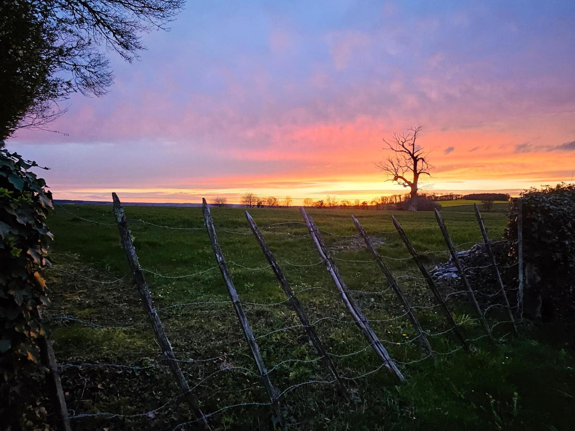 O' Coin Du Beaufol Villa Sancerre Eksteriør bilde